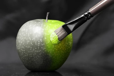 Miscellaneous Apple Fruit Black And White Green Brush Brush ...