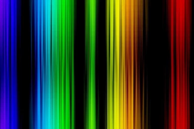 Gallery For   Awesome Colorful Animal Backgrounds