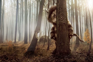 Wild Things – State Of Wilderness