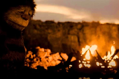 Carol   Where The Wild Things Are Wallpapers (15246998)   Fanpop