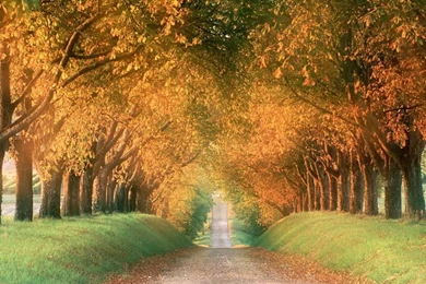 Desktop Wallpapers Autumn   Wallpapers Cave