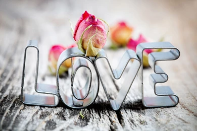 I Love You HD Wallpapers HD Images Pictures Quotes Photos Cover ...