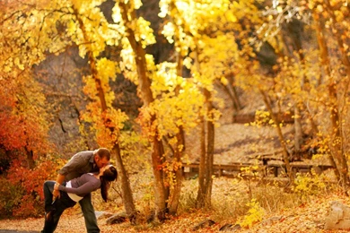 Love Kiss In Autumn Wallpapers – Free Full Hd Wallpapers For 1080p ...