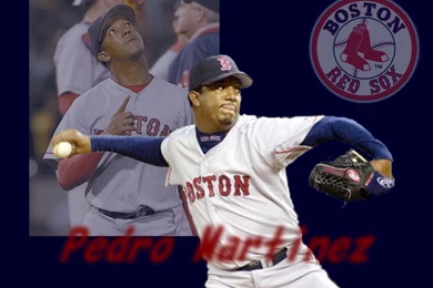 PEDRO MARTINEZ RED SOX WALLPAPER   (