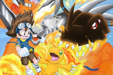 Agumon Wallpapers   Wallpapers Cave