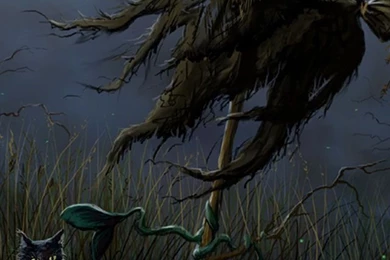 Halloween On Pinterest