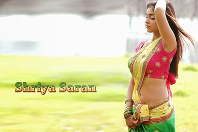 Shriya Saran HD Wallpaper, Shriya Saran Photos