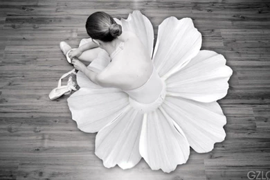 Flowers Ballet Monochrome Dancers Ballet Shoes Wallpapers ...