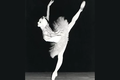 BALLERINA WALLPAPER   (