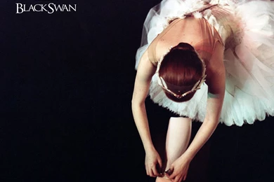 1280x1024_BlackSwan_2.jpg