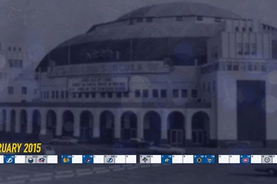 Derrick Docket » February 2015 St. Louis Blues Wallpapers