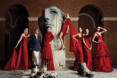 Fashion Movie Wallpapers   Crazy Frankenstein