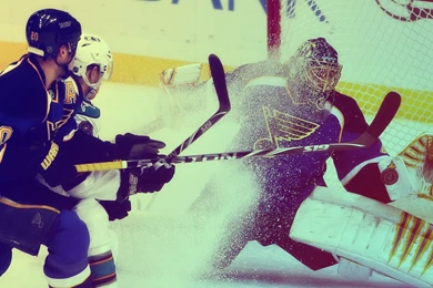 Hockey St Louis Blues Jaroslav Halak Alex Steen Gg Wallpapers ...