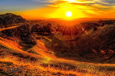 SUMMER SUNSHINE WALLPAPER   (