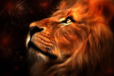 HD High Resolution Lion Wallpapers Abstract Full Size ...
