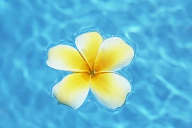 Hawaiian Beach Wallpapers   Wallpapers Cave