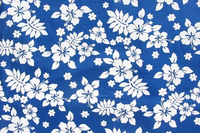 Hawaiian Background Images   Wallpapers Cave