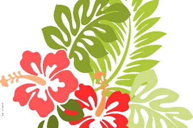 Hawaiian Flowers Free Wallpapers Download   ClipArt Best   ClipArt Best