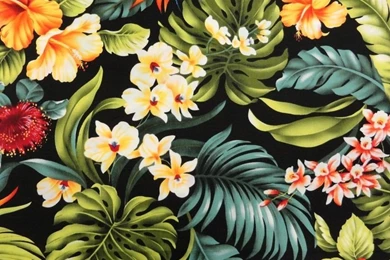 Pin By Andrea Larsen On Ink.