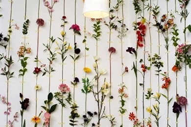 Flowers For Wallpapers