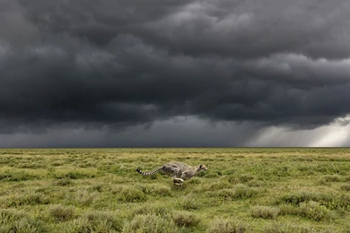 High Resolution Wallpapers   Part 1   Album On Imgur