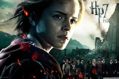 Harry Potter And The Deathly Hallows Part 2 Hermione HD Desktop ...