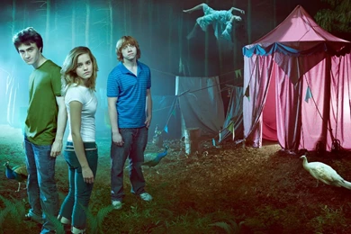 Hermione Granger And Harry Potter Crew HD Wide Wallpapers