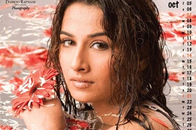 Vidya Balan Wallpaper: Vidya Balan Bikini Photos Vidya — Blogs ...