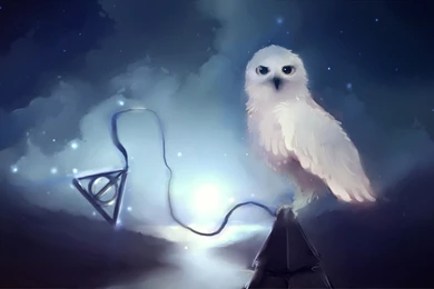 Owl Wallpapers Hd Wallpapers   1098242
