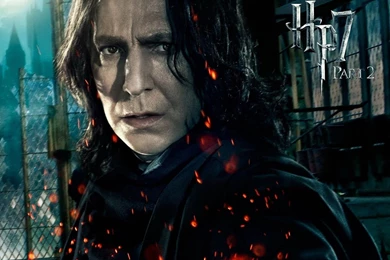 Download Harry Potter Wallpapers From Deadly Hollows Part 2 ...