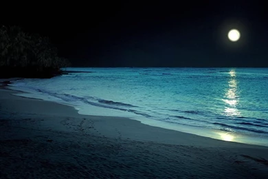 Night Beach Beautiful Wallpapers 1920x1200px