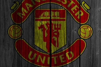 Manchester United Logo Hd Image