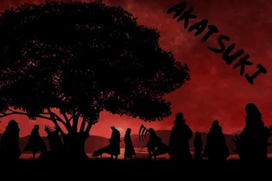 Akatsuki Wallpapers HD   Wallpapers Cave