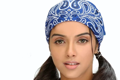 Asin Funny Hd Wallpapers   Wallpaperss HD