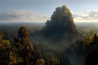 Wallpapers Fairytale Lord Of The Rings Pictures Forest Hill Skies ...