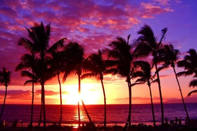 Beauty Sunset Hawaii Beach Wallpapers