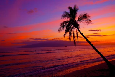 800x600px Hawaii Sunset Best Wallpapers