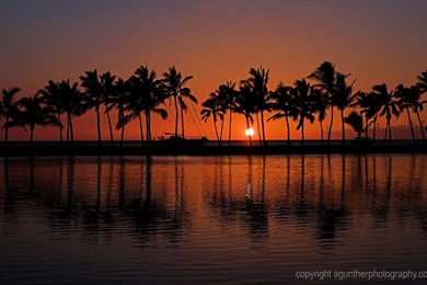 Hawaii Sunset Wallpapers   31076