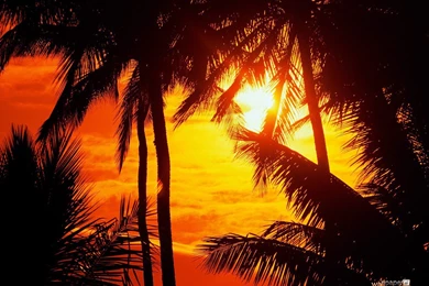 Hawaii Sunset Wallpapers   57792