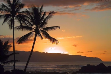 Amazing Hawaii Sunset Beach Wallpapers