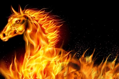 Horses Flaming Horse Flames Year Hot 2014 Abstract New Bright Free ...
