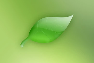 Dell Laptop Wallpapers Hd   1664358