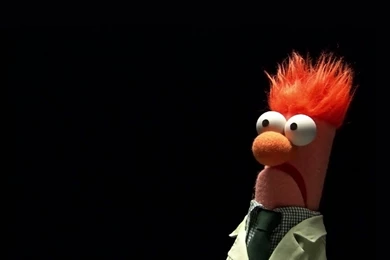 5 The Muppets HD Wallpapers