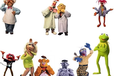 Muppets! The Muppets Wallpapers (254135) Fanpop