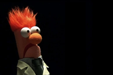 Animal Muppets Wallpaper, Wallpaper, Animal Muppets Wallpapers Hd ...