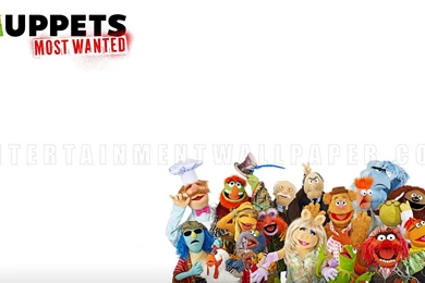 Muppets Most Wanted Wallpapers