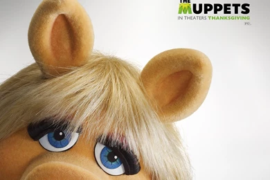 The Muppets Wallpapers