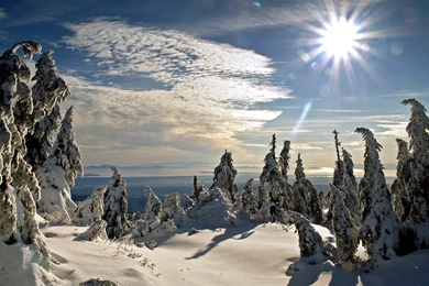 1366x768 Desktop Wallpapers