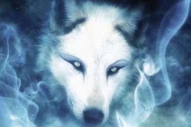 Wolf Spirit, Fantasy, Smoke, Spirit, Wolf 242734