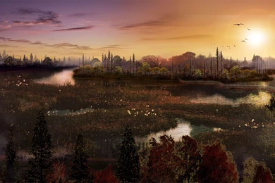 Beautiful Landscape Wallpapers   Desktop Backgrounds